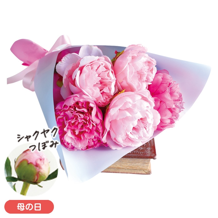 【母の日】シャクヤクブーケ