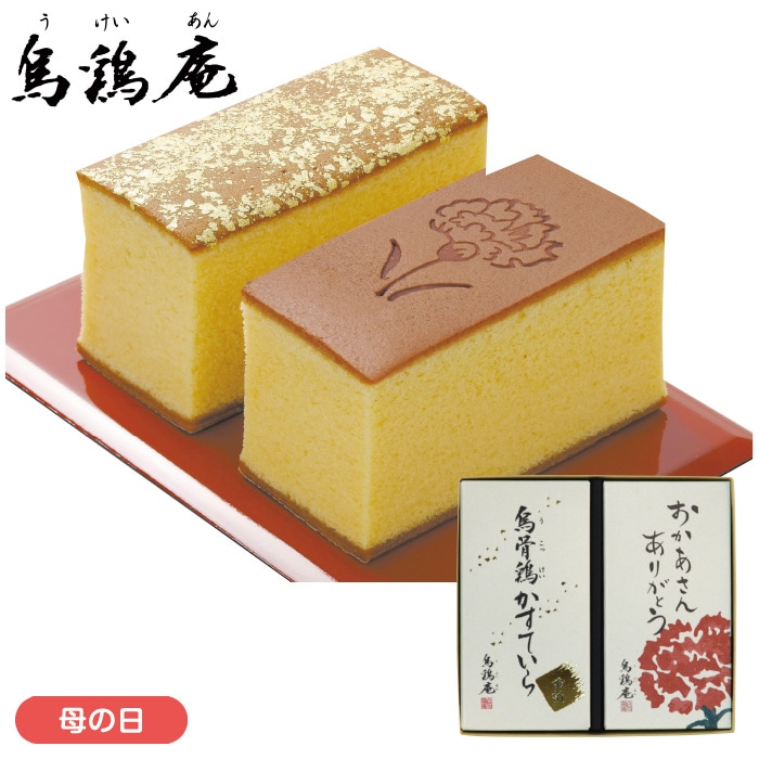 【母の日】烏骨鶏かすていら2号2本（金箔）