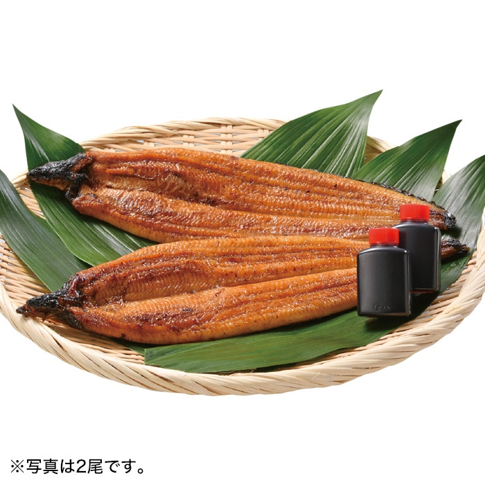 【夏ギフト】国産うなぎ蒲焼 3尾