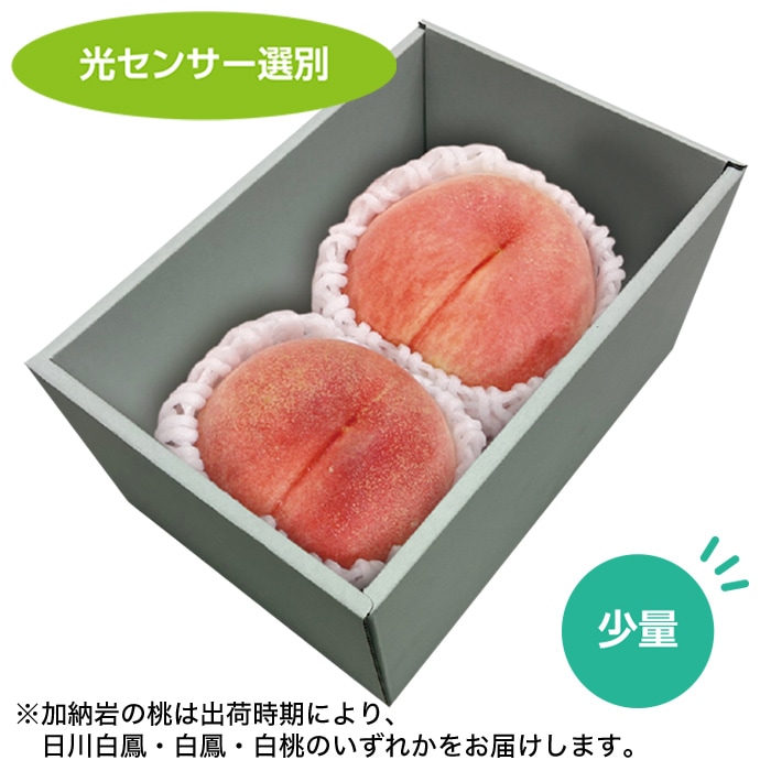 【夏ギフト】桃(大玉)2玉 600g