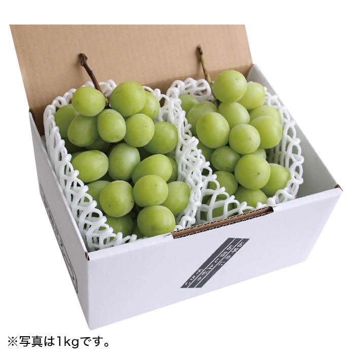 【夏ギフト】シャインマスカット 2房(800g)
