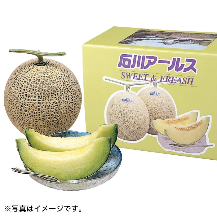 【夏ギフト】アールスメロン 2玉