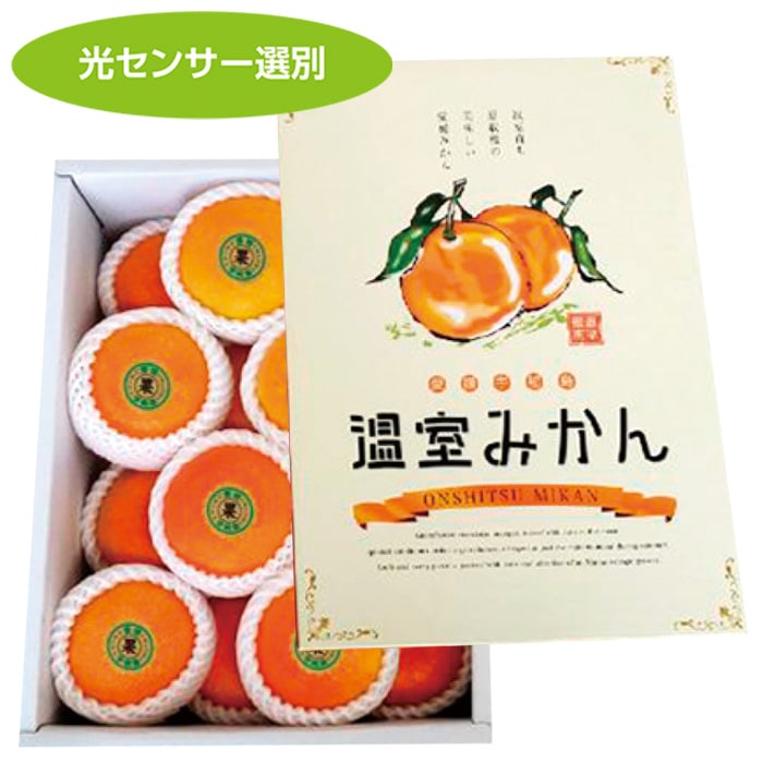 【夏ギフト】宇和島ハウスみかん