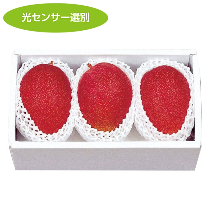 【夏ギフト】沖縄産紅マンゴー