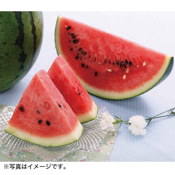 【夏ギフト】石川スイカ