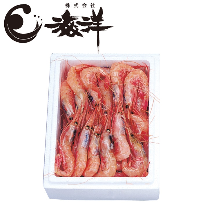 【夏ギフト】日本海産 船凍甘えび（中） 500g