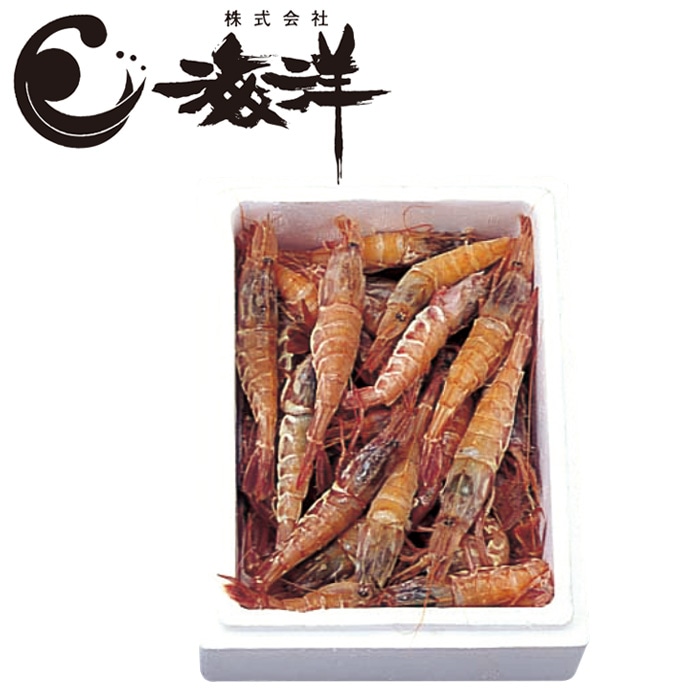 【夏ギフト】日本海産船凍とらえび 500g