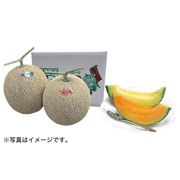 【夏ギフト】アールスメロン紅白2玉セット