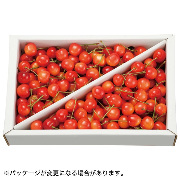 【夏ギフト】さくらんぼ 1kgバラ詰