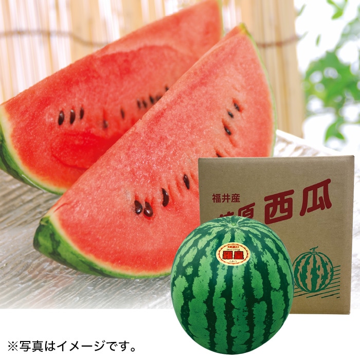 【夏ギフト】ハウス西瓜(羅皇)