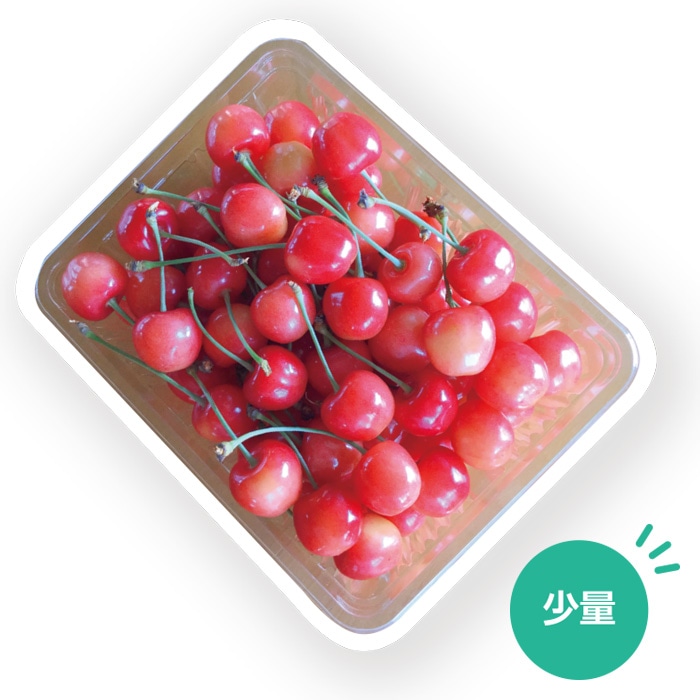 【夏ギフト】さくらんぼ 500g