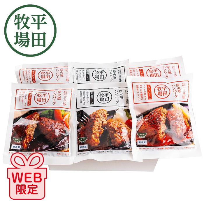 【冬ギフト】平田牧場三元豚炭火焼ハンバーグ6個セット