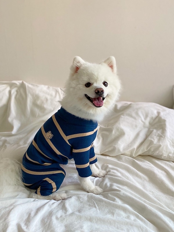 woof woof all in one MILKY VINTAGE STRIPE