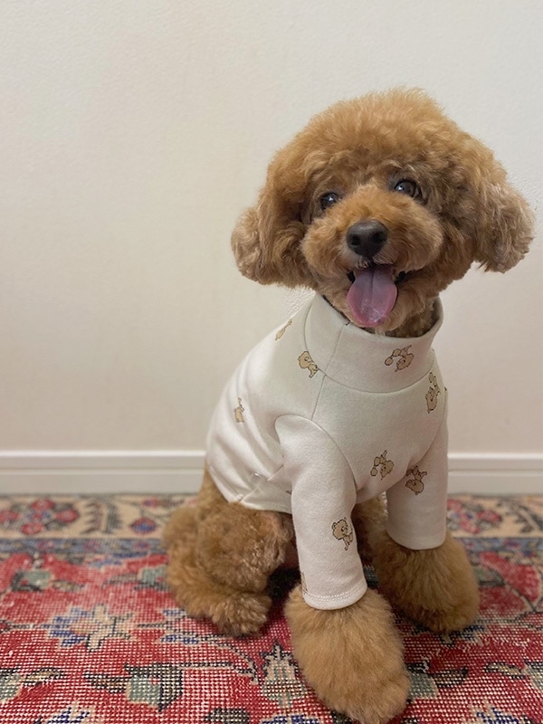 ALL DOGS LOVE jacquard bear tops