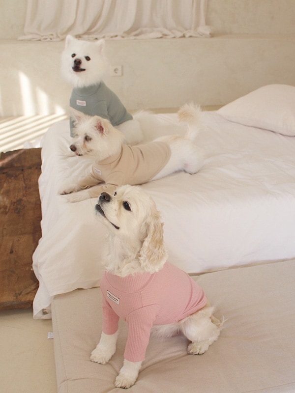 daily rib tops for dogs