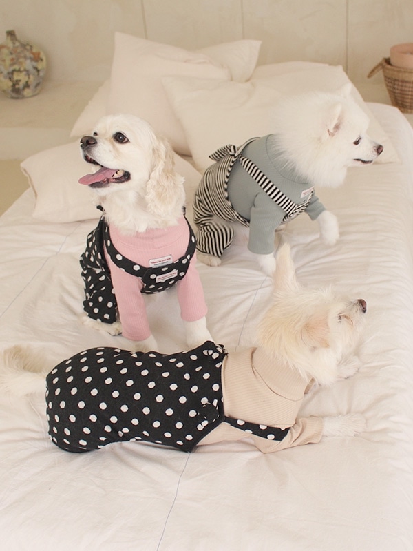 black candy dogs all in one