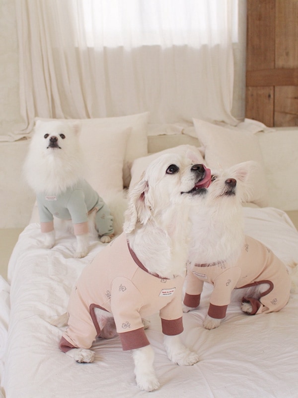 like baby bear rompers dog wear