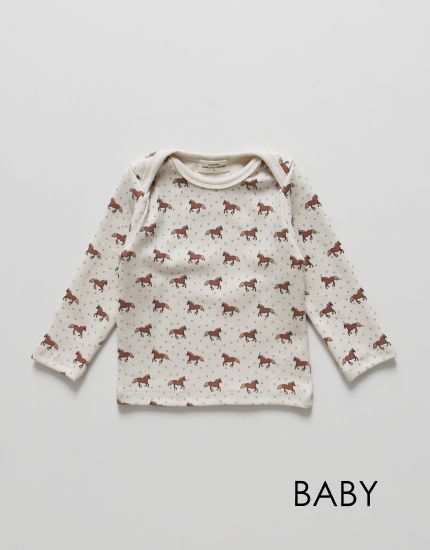 Baby horse and snow tops