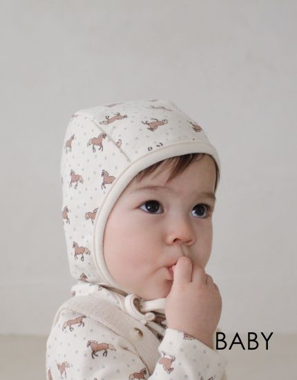 horse and snow bonnet　