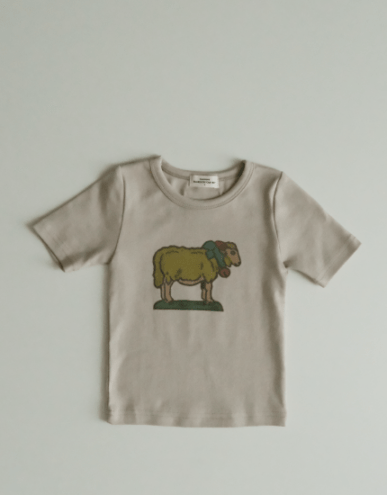 The Storybook Tshirt-Meme