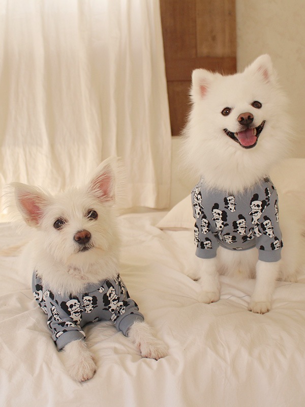 BUCHI and DOGS | すべての商品 | monmimi