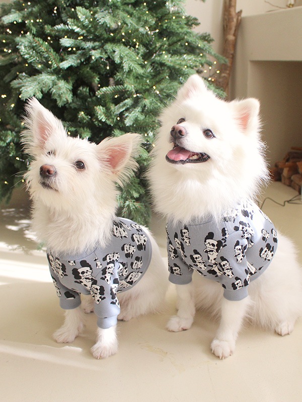 2_000000002261.jpg?1758593995