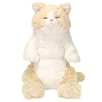 ひざねこ すやすや ぬいぐるみ グレー | ハンプティーダンプ
