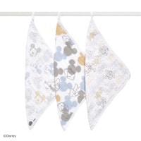 クラシック ウォッシュクロス ミッキー ミニー エイデン アネイ ギフト 出産祝い ハンプティーダンプティー公式通販