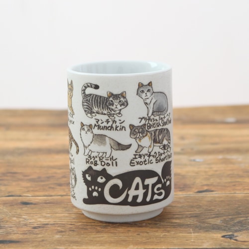 寿司ゆのみ ｃａｔ