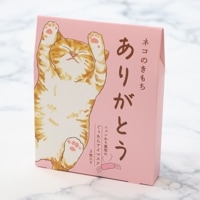 かっぱプチギフト20セット Amazon | 【20袋+1】プチギフト よろしくおねがいします