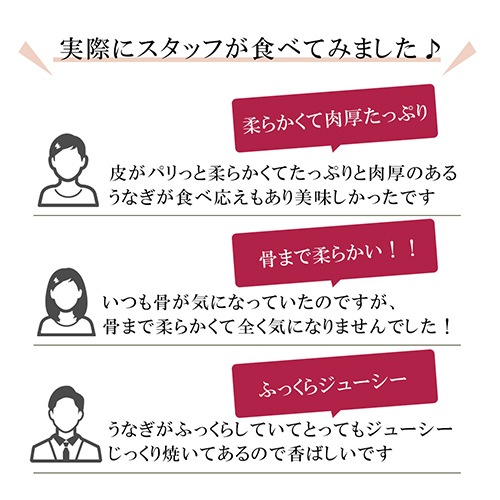 特大 鹿児島産うなぎ|蒲焼2尾(たれ・山椒付)【同梱・代引不可】(PD)