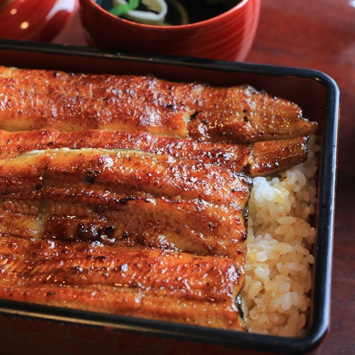 特大 鹿児島産うなぎ|蒲焼2尾(たれ・山椒付)【同梱・代引不可】(PD)