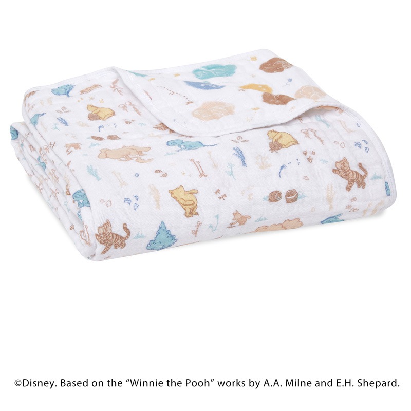 新品！aden + anais クラシックムスリン ドリームブランケット 日本正規品 4重ガーゼ ドリームブランケット オーガニック