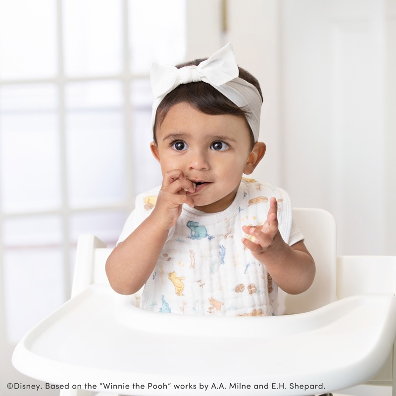 クラシック スナップビブ winnie in the woods|エイデン&アネイ