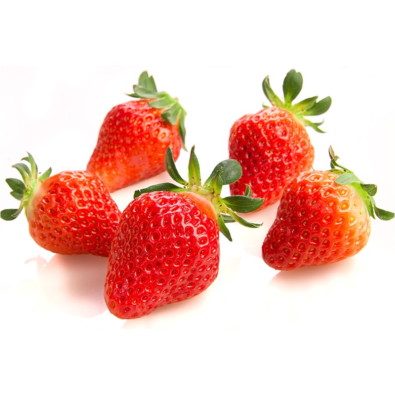 umashima（うましま） 月コース