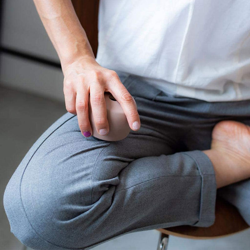 リセットローラーＬＡＲＧＥ