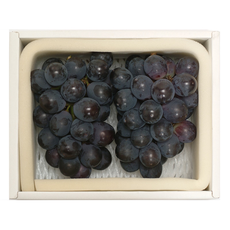 umashima（うましま） 詩コース