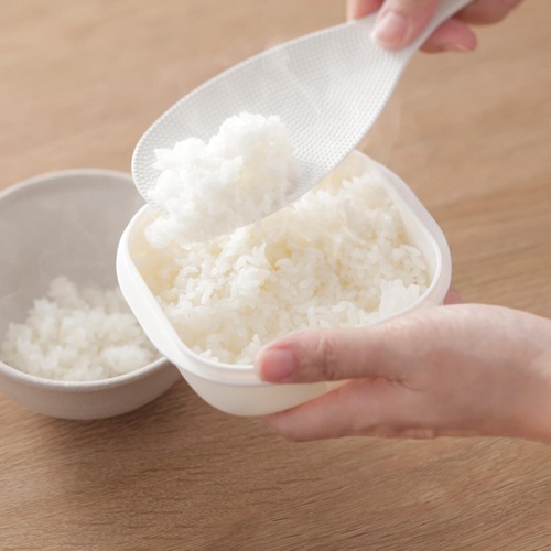 【人気No.1】極　冷凍ごはん容器２個入り　Ｗ