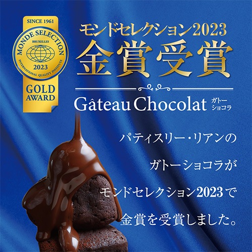 Lien(リアン)ガトーショコラ５個入りギフト・送料込【同梱・代引不可】