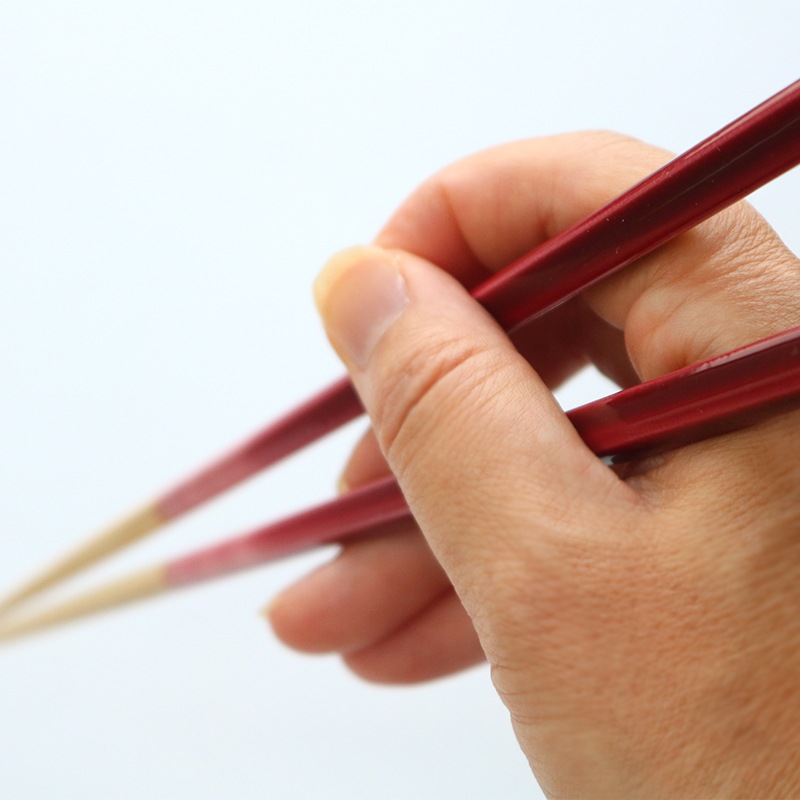 【名入れサービス付】ほんとうにすべらないお箸 プレミアム グラデRD