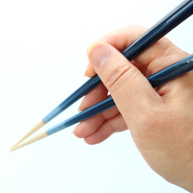 【名入れサービス付】ほんとうにすべらないお箸 プレミアム グラデBL