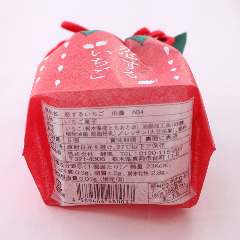 【2月末お届け】恋するいちご 巾着