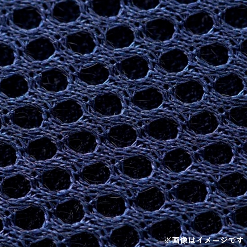 シルクシャイニーピローカバー×Nana IV | ハンプティーダンプ