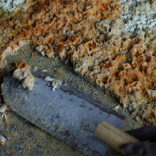 湯躍（ゆやく） 緑光 小袋60g