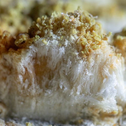 湯躍（ゆやく） 緑光 小袋60g