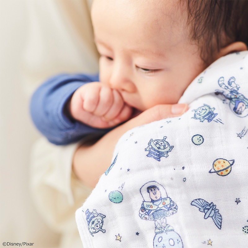 トイストーリー ウォッシュクロス3枚入|エイデン&アネイ