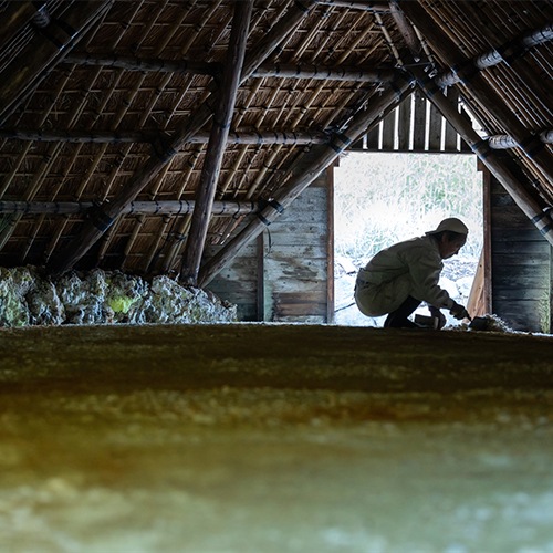 湯躍（ゆやく） 緑光 化粧箱60g×7包