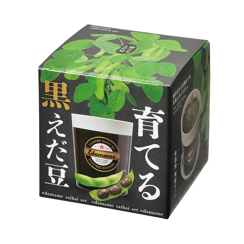 育てる黒枝豆