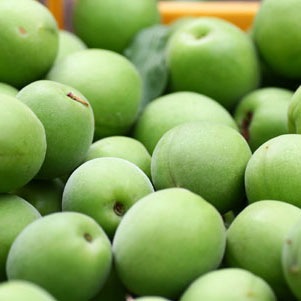 HONEY TO はちみつ梅シロップ