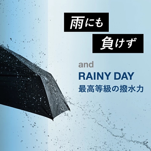 晴雨兼用（折傘）IZA（イーザ）WIND RESISTANCE 耐風 GY